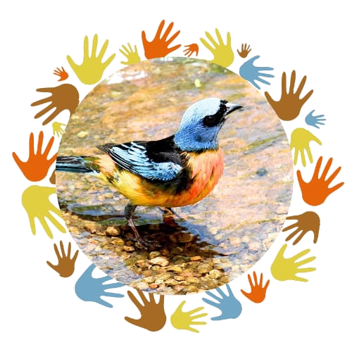 Logo El Naranjero
